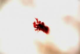 Supernatural Season 12 Episode 4